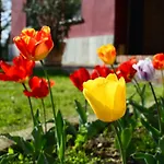 Tenuta Polledro Άστι